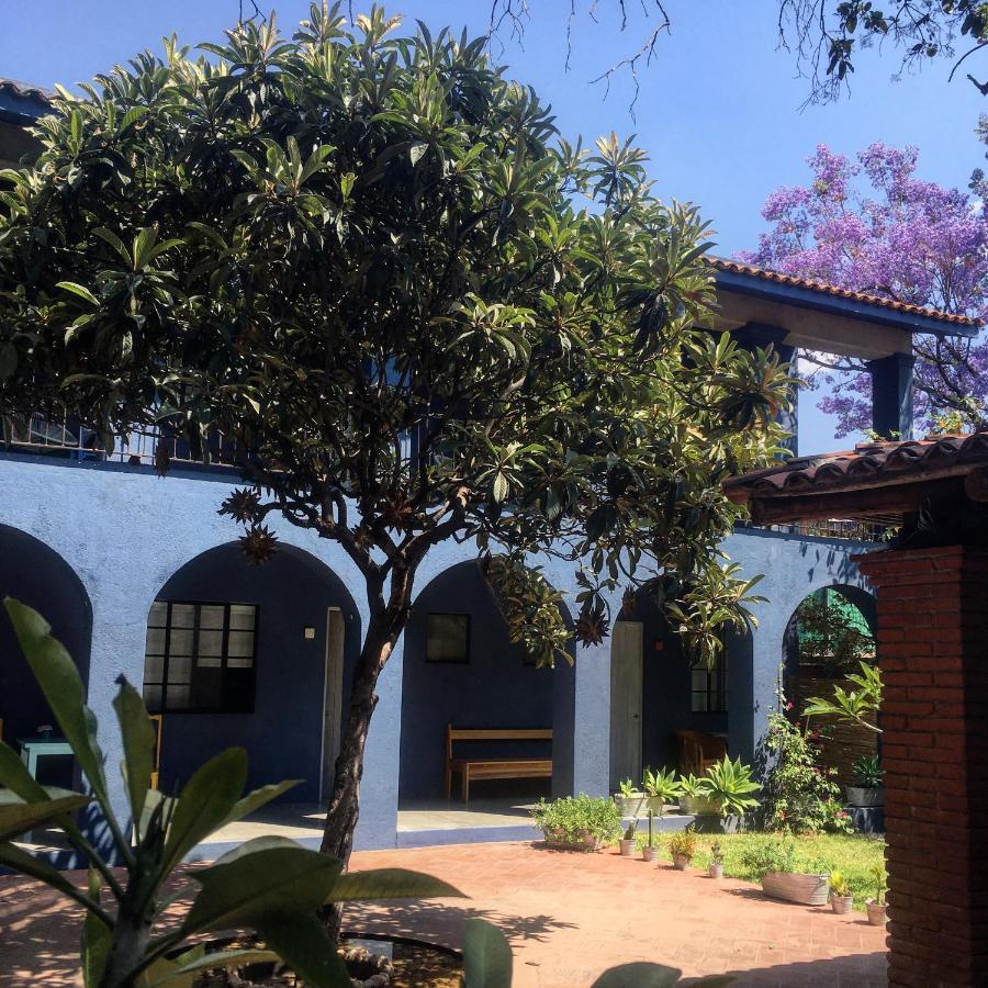 La Betulia Bed And Breakfast Oaxaca Zewnętrze zdjęcie